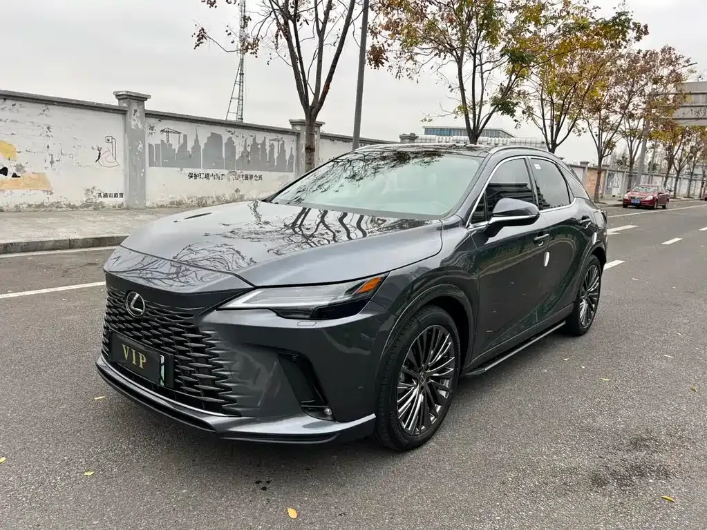 Lexus RX New Energy — фото 1