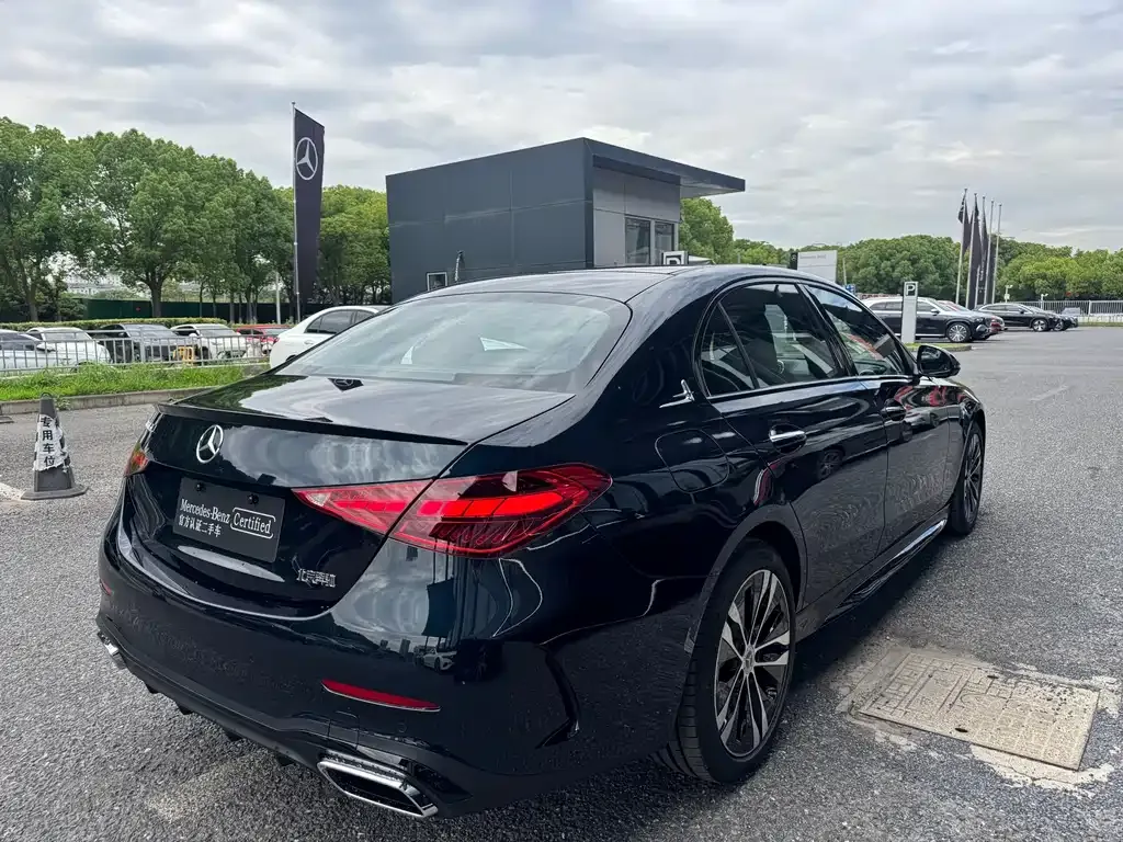Mercedes-Benz C-Class New Energy — фото 10