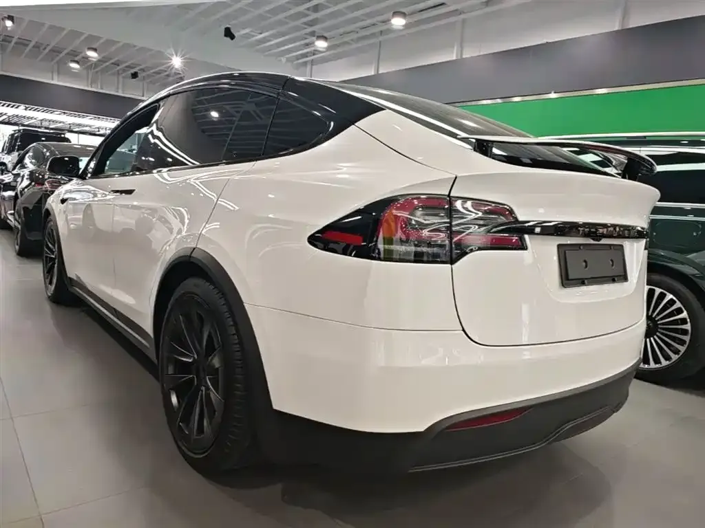 Tesla Model X — фото 10