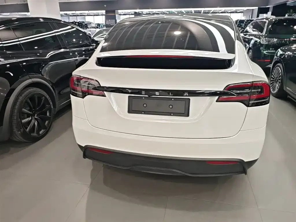 Tesla Model X — фото 8