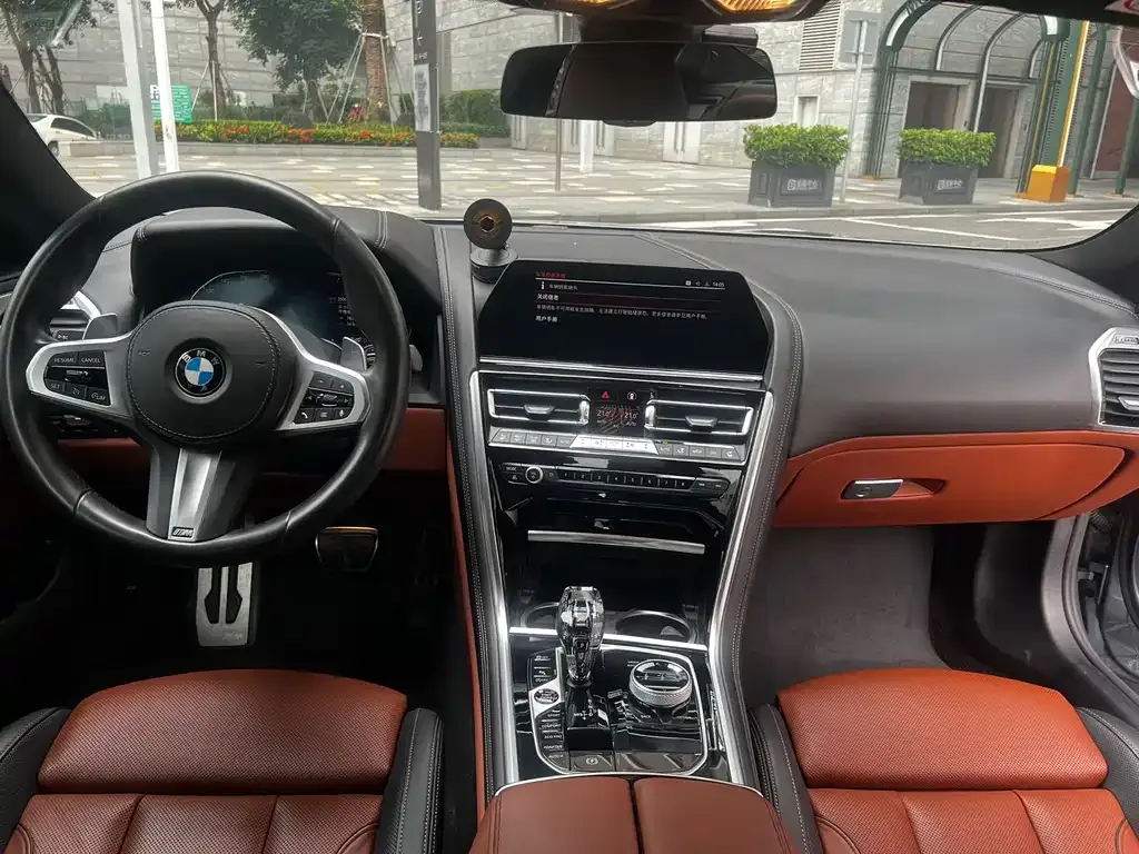 BMW 8 Series — фото 10