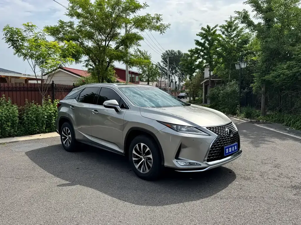 Lexus RX — фото 5