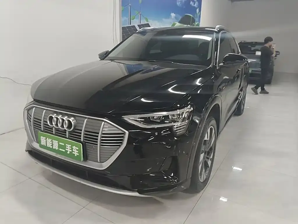 Audi e-tron (Import) — фото 2