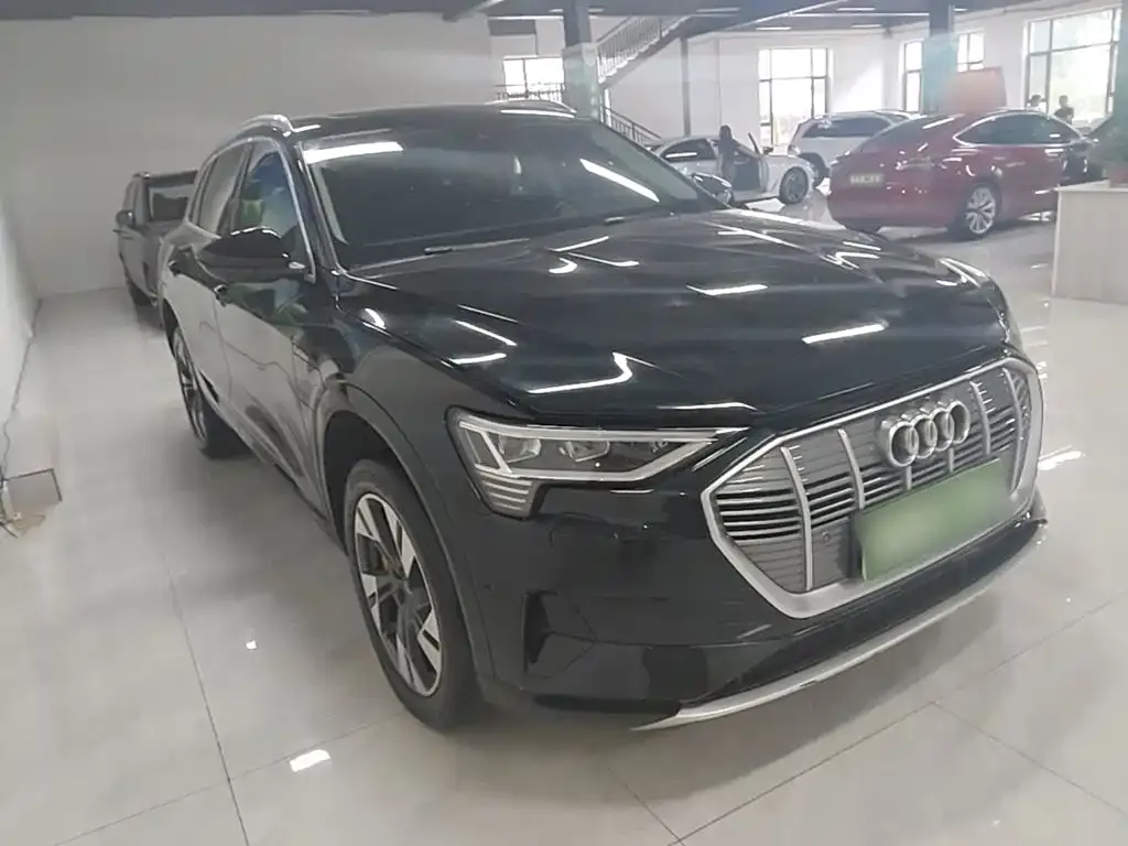 Audi e-tron (Import) — фото 6