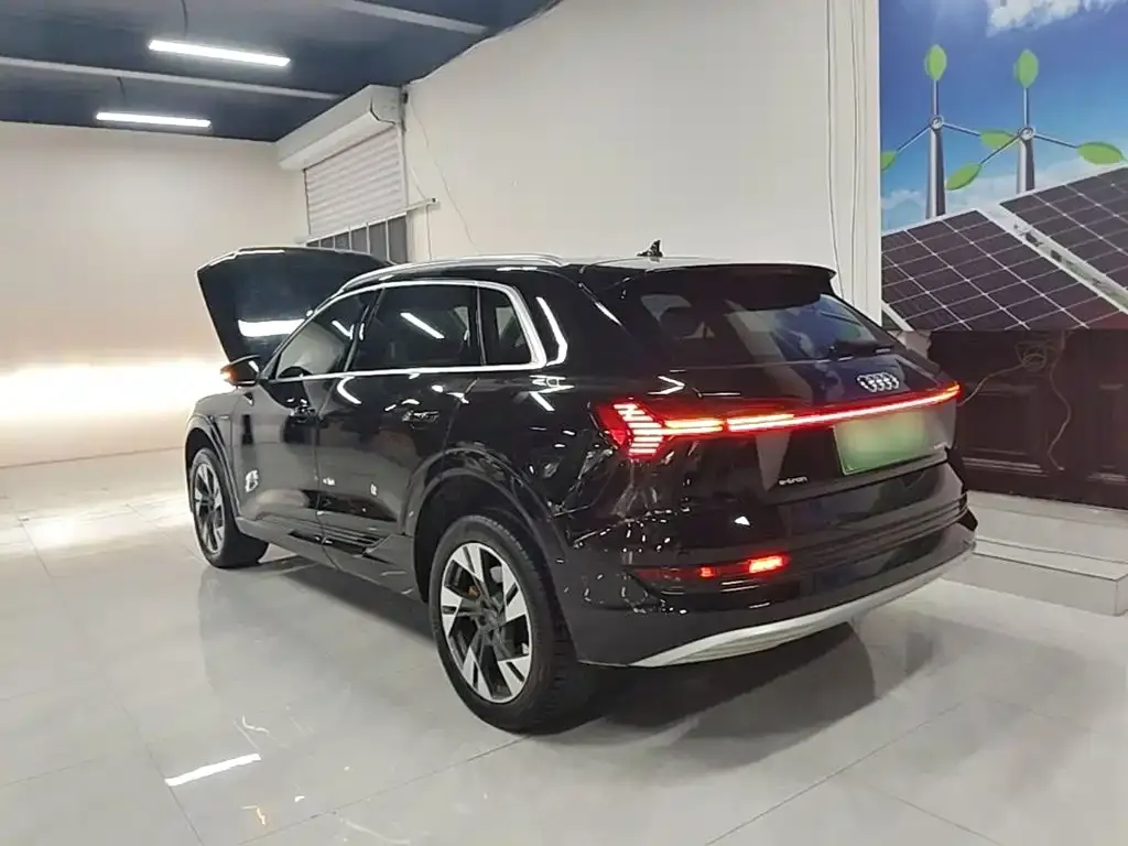 Audi e-tron (Import) — фото 7