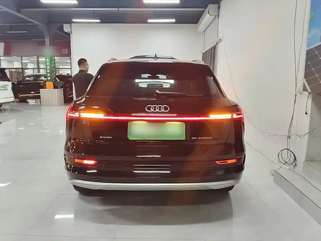 Audi e-tron (Import) — фото 3