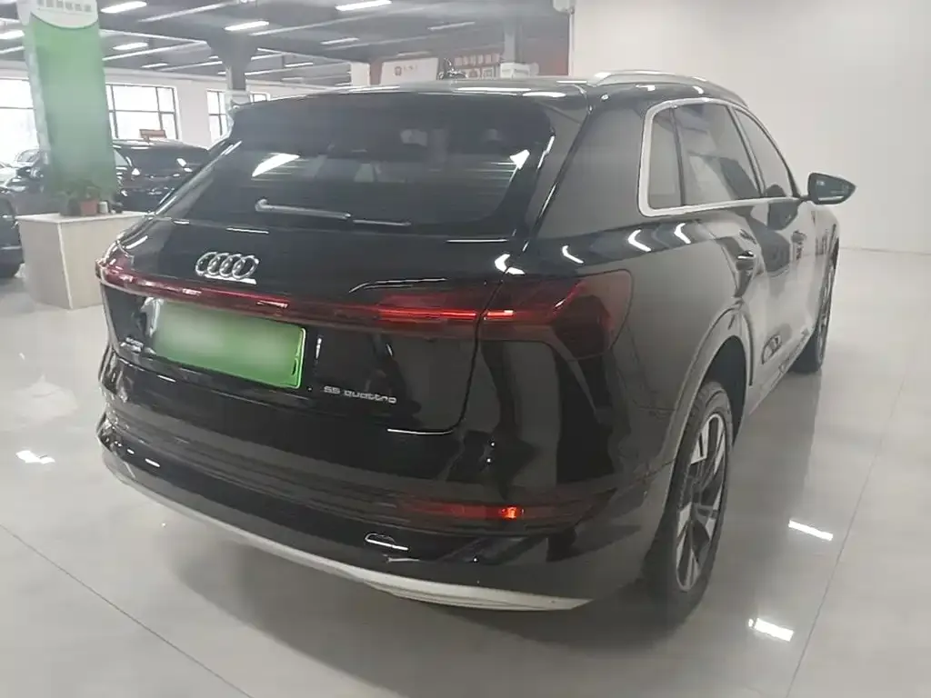 Audi e-tron (Import) — фото 10