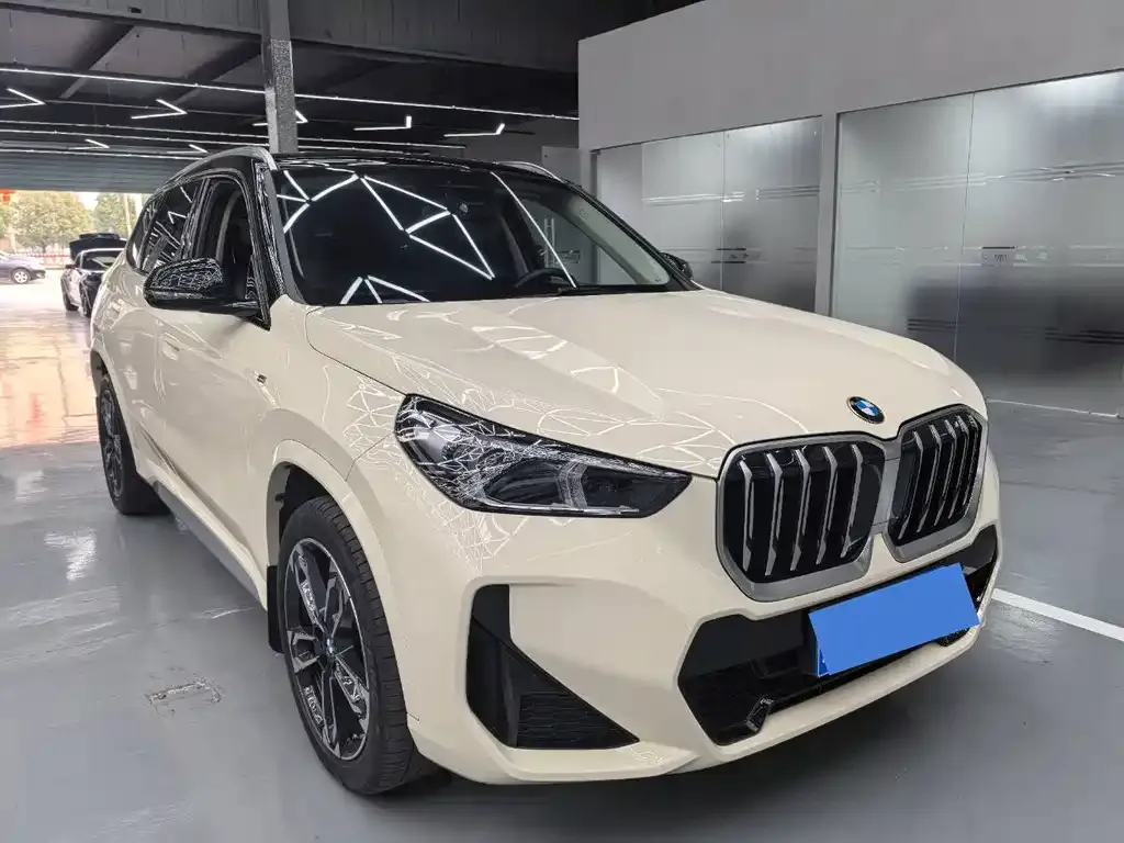 BMW X1 — фото 10