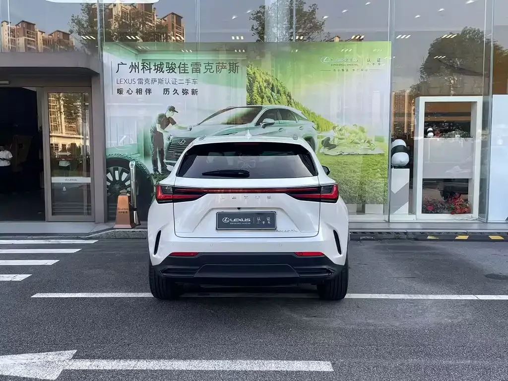 Lexus NX New Energy — фото 10