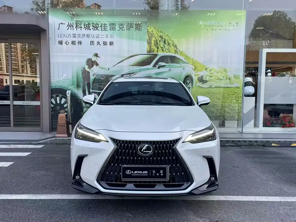 Lexus NX New Energy — фото 9