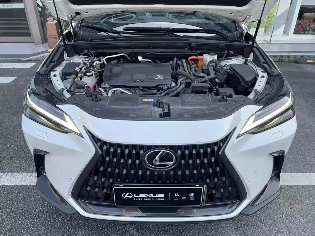 Lexus NX New Energy — фото 5
