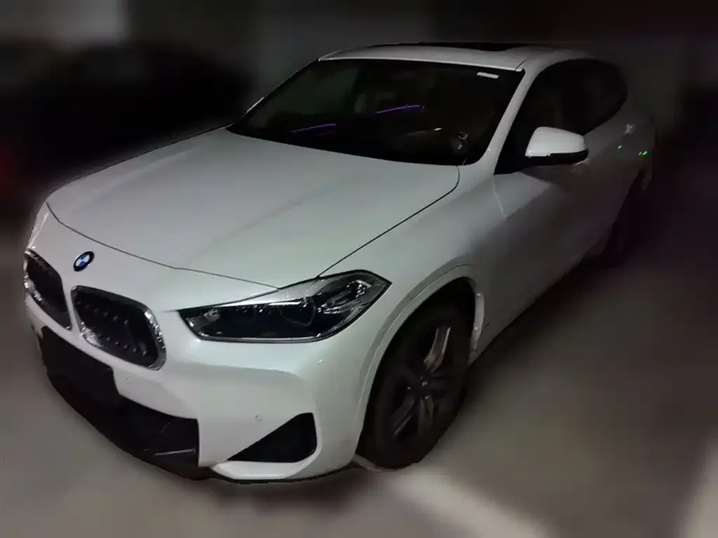 BMW X2 — фото 1
