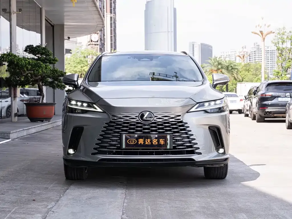 Lexus RX New Energy — фото 8