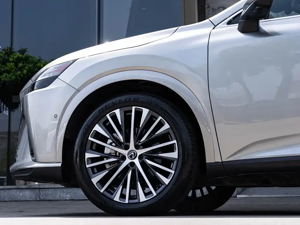 Lexus RX New Energy — фото 7