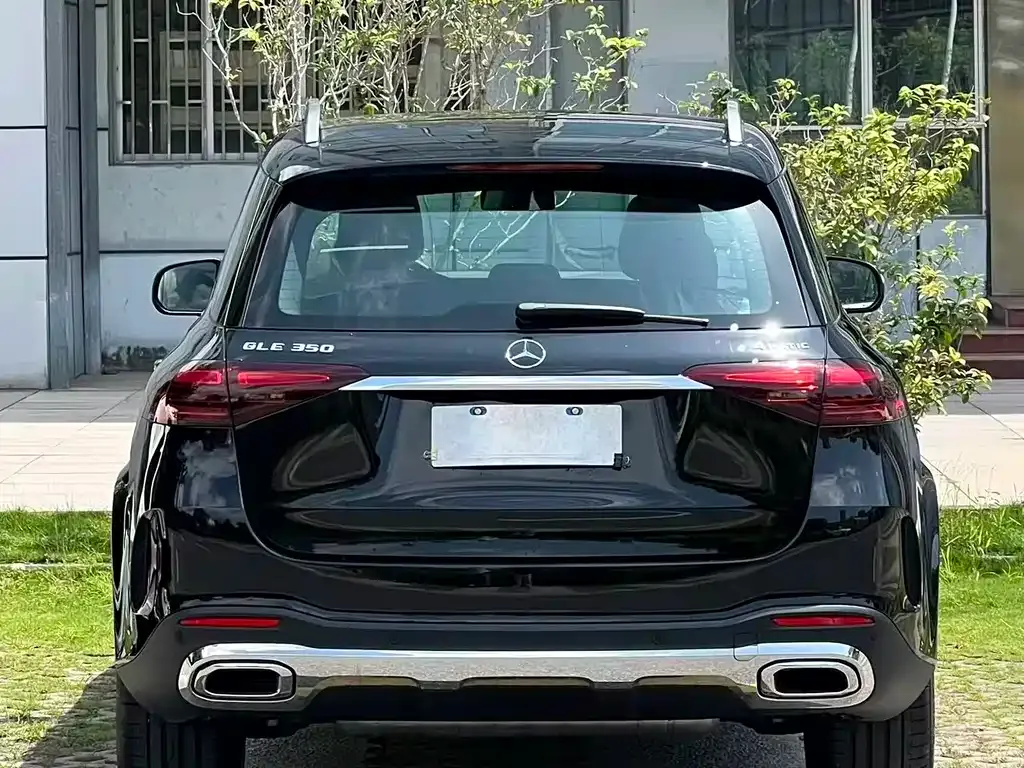 Mercedes-Benz 奔驰GLE(进口) — фото 8