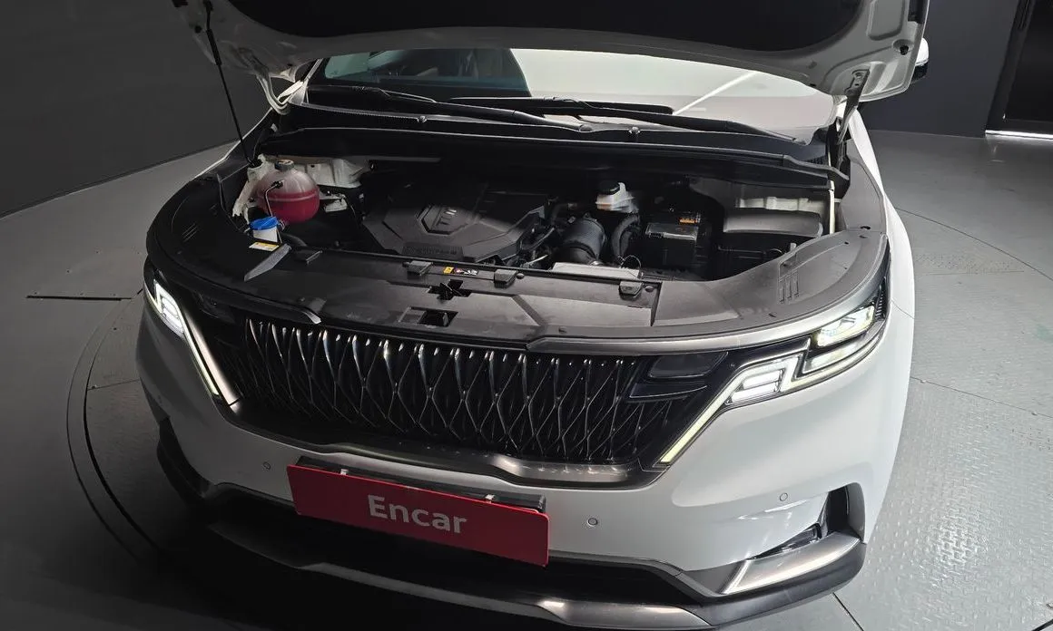 Kia Carnival — фото 10