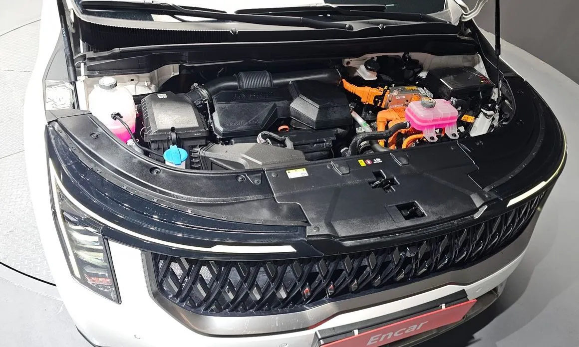 Kia Carnival — фото 10