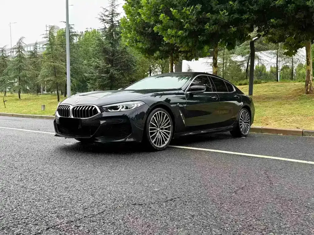 BMW 8 Series — фото 1