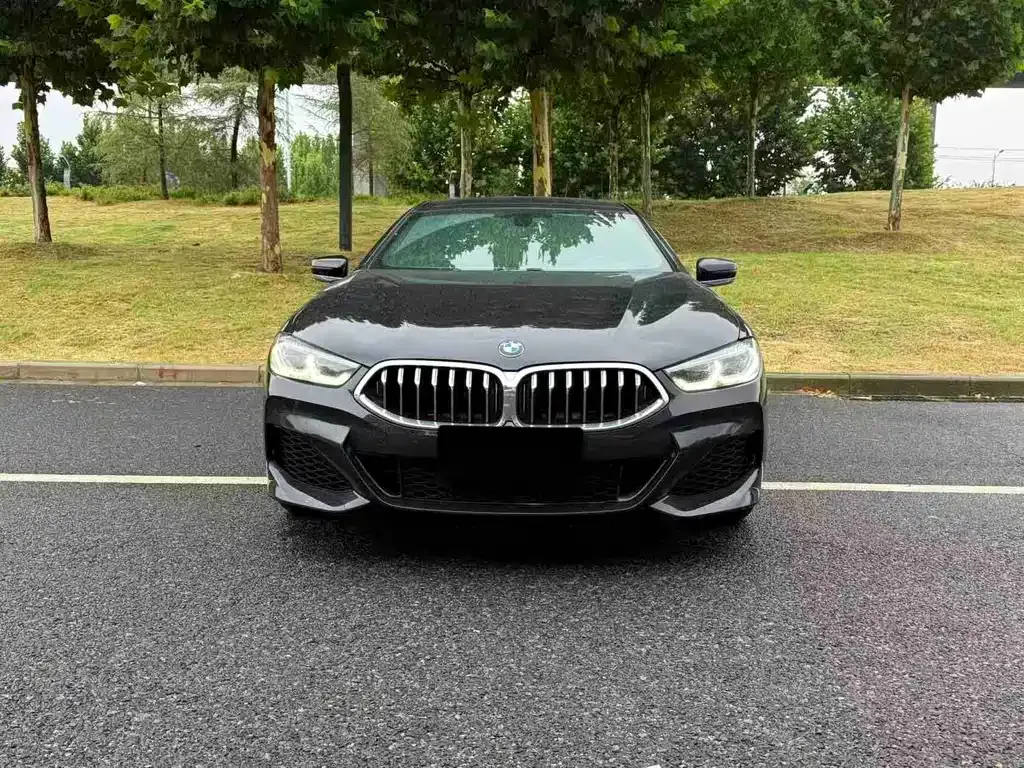 BMW 8 Series — фото 5