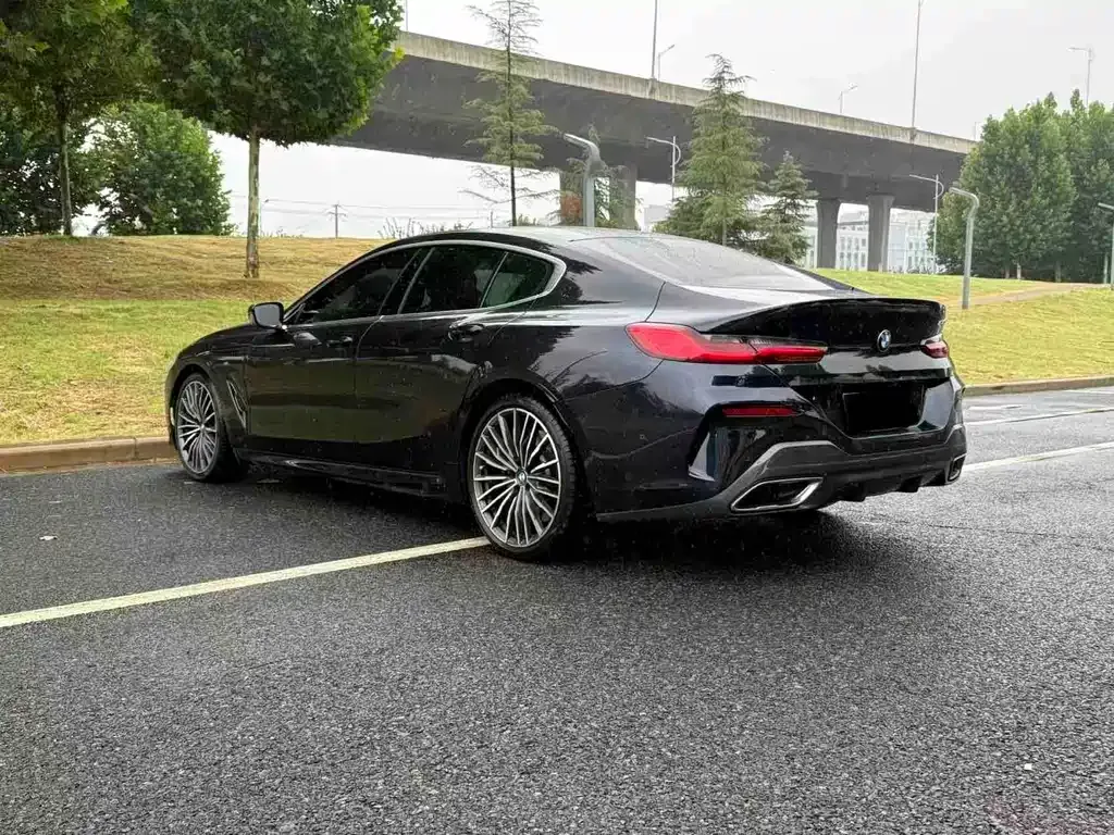 BMW 8 Series — фото 9