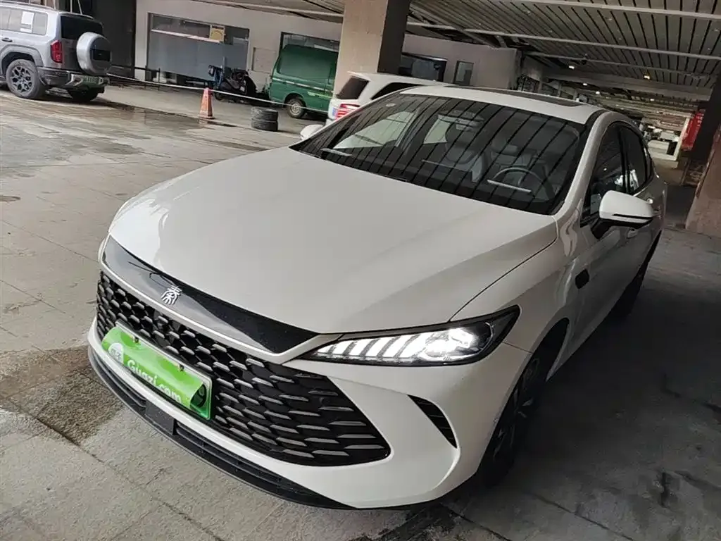 BYD Qin PLUS — фото 1
