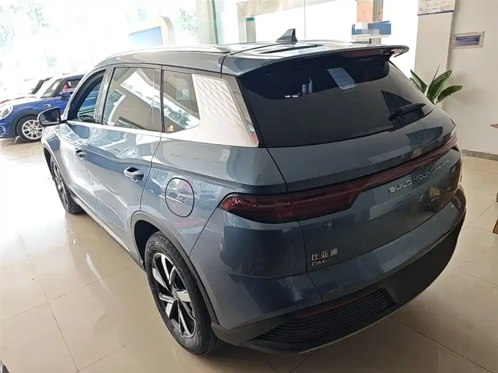BYD Pro New Energy — фото 2