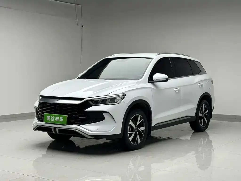BYD Pro New Energy — фото 1