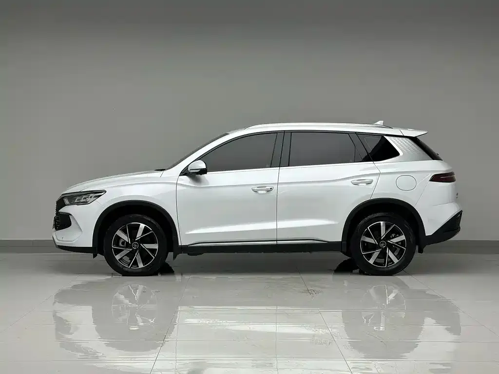 BYD Pro New Energy — фото 3