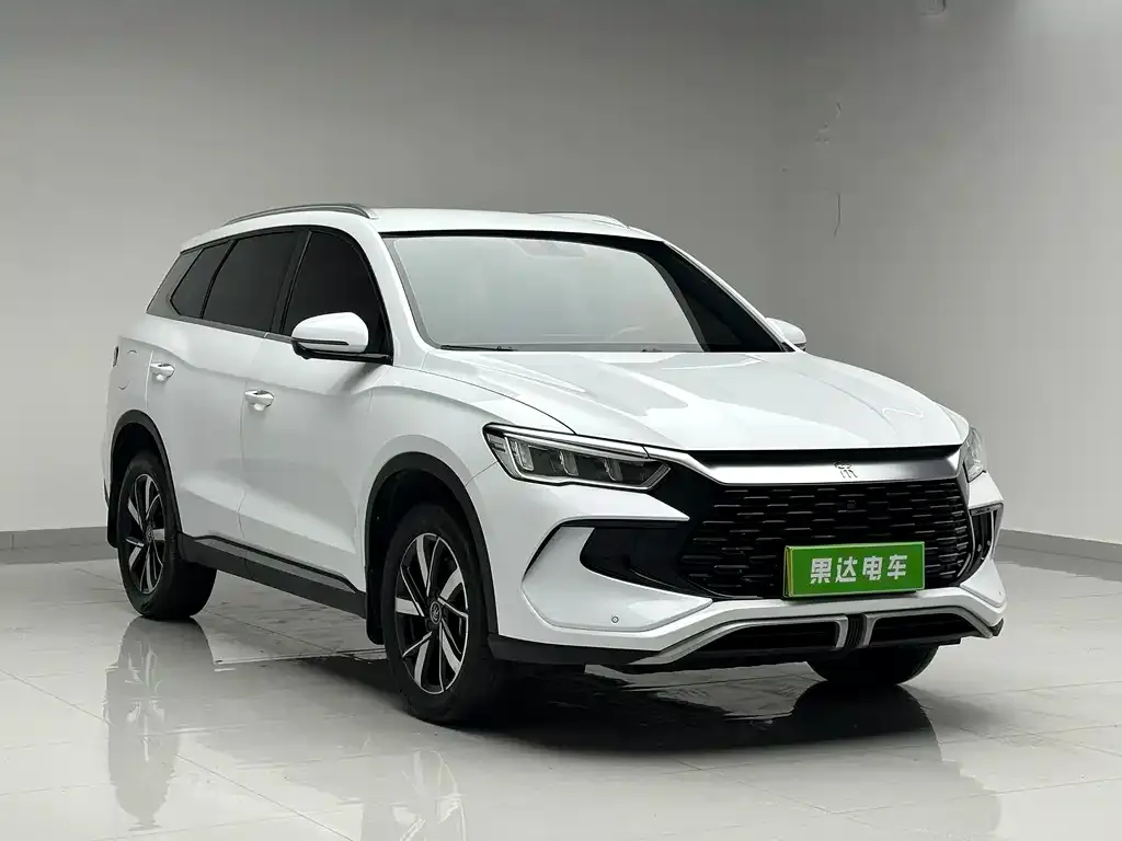 BYD Pro New Energy — фото 4