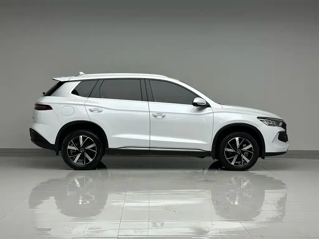 BYD Pro New Energy — фото 6