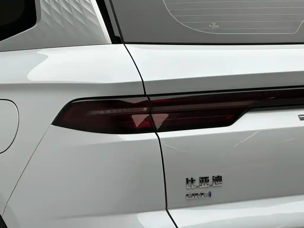 BYD Pro New Energy — фото 2