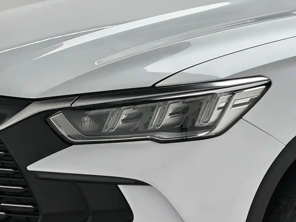 BYD Pro New Energy — фото 10