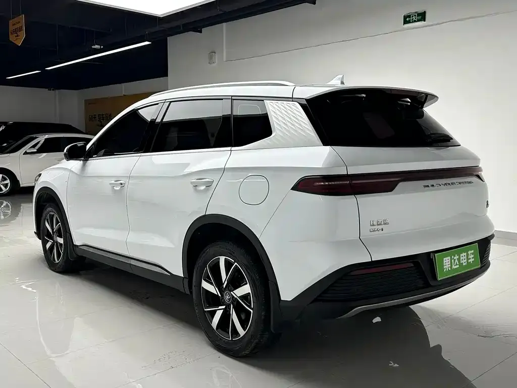 BYD Pro New Energy — фото 9
