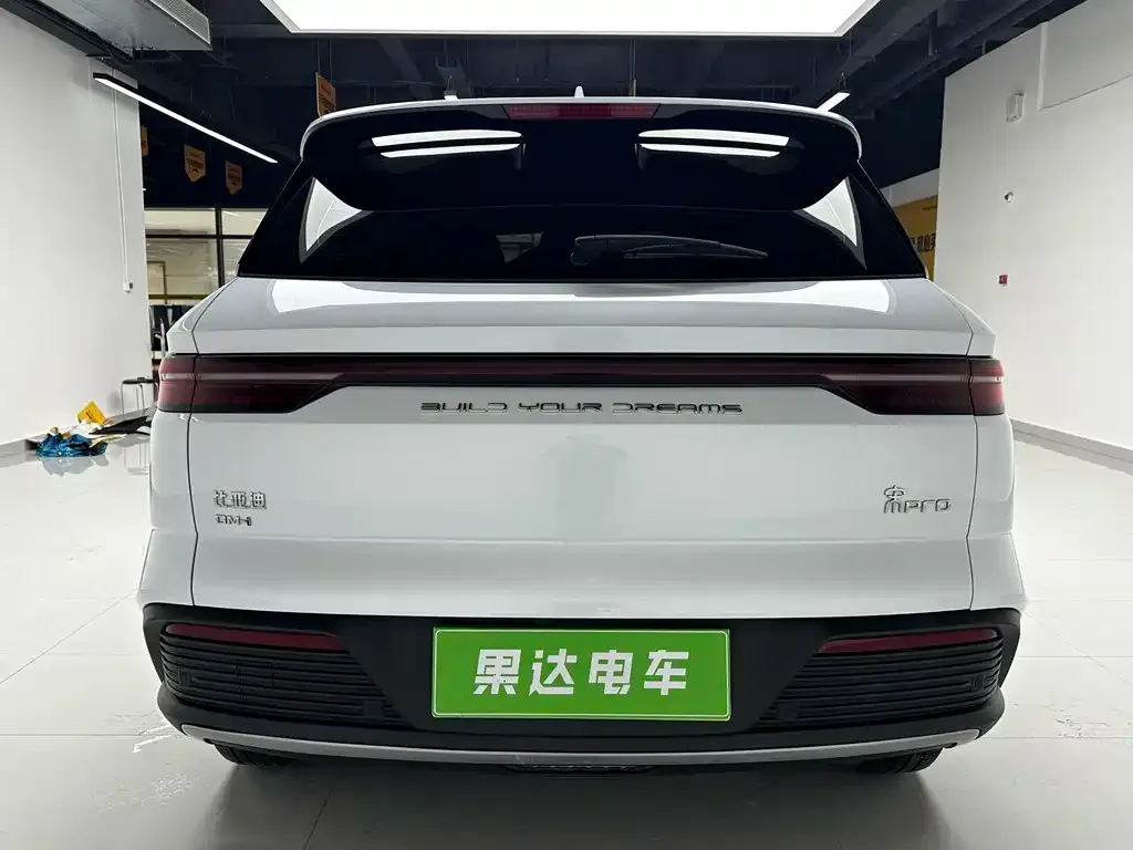 BYD Pro New Energy — фото 7