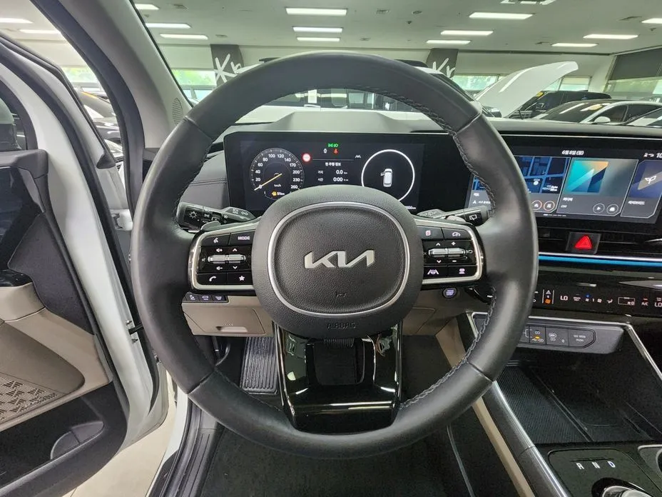 Kia Carnival — фото 10