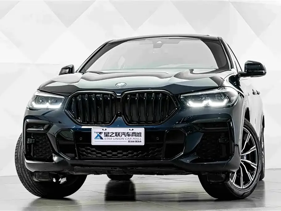 BMW X6 — фото 7