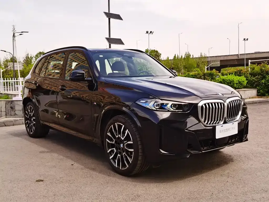 BMW X5 — фото 9
