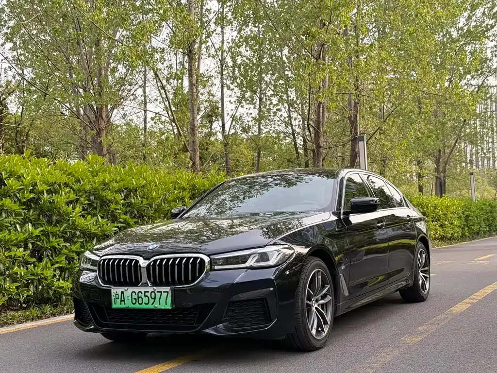 BMW 5 Series New Energy — фото 1