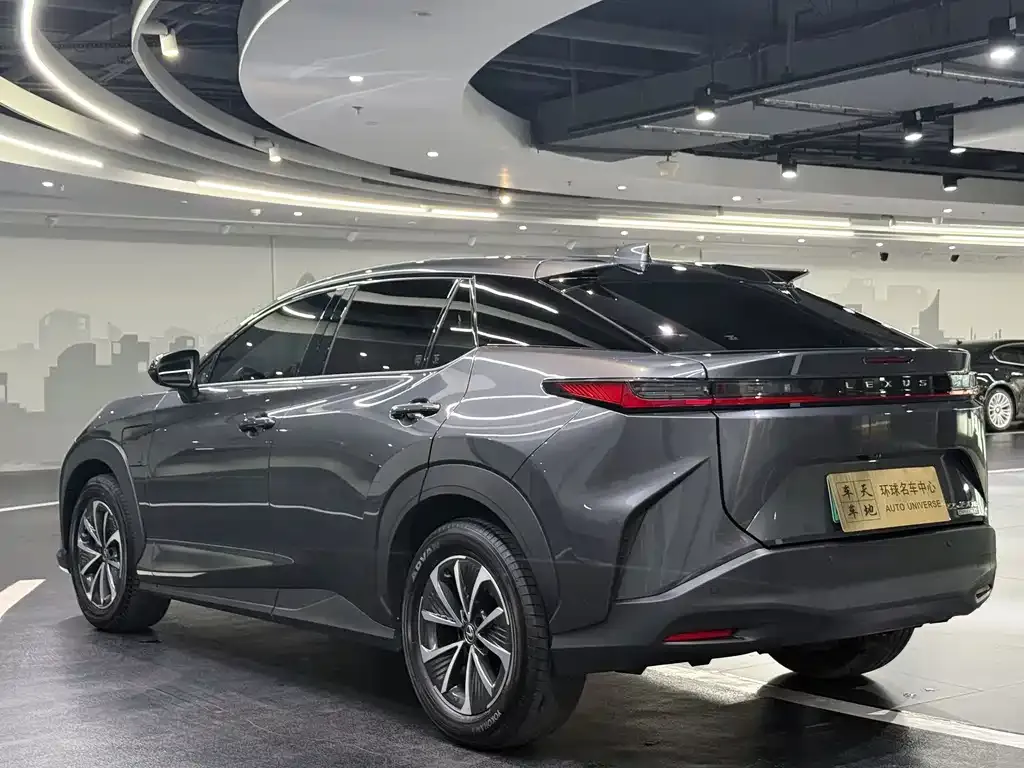 Lexus RZ — фото 10
