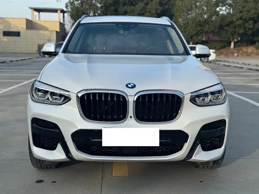 BMW X3 — фото 2