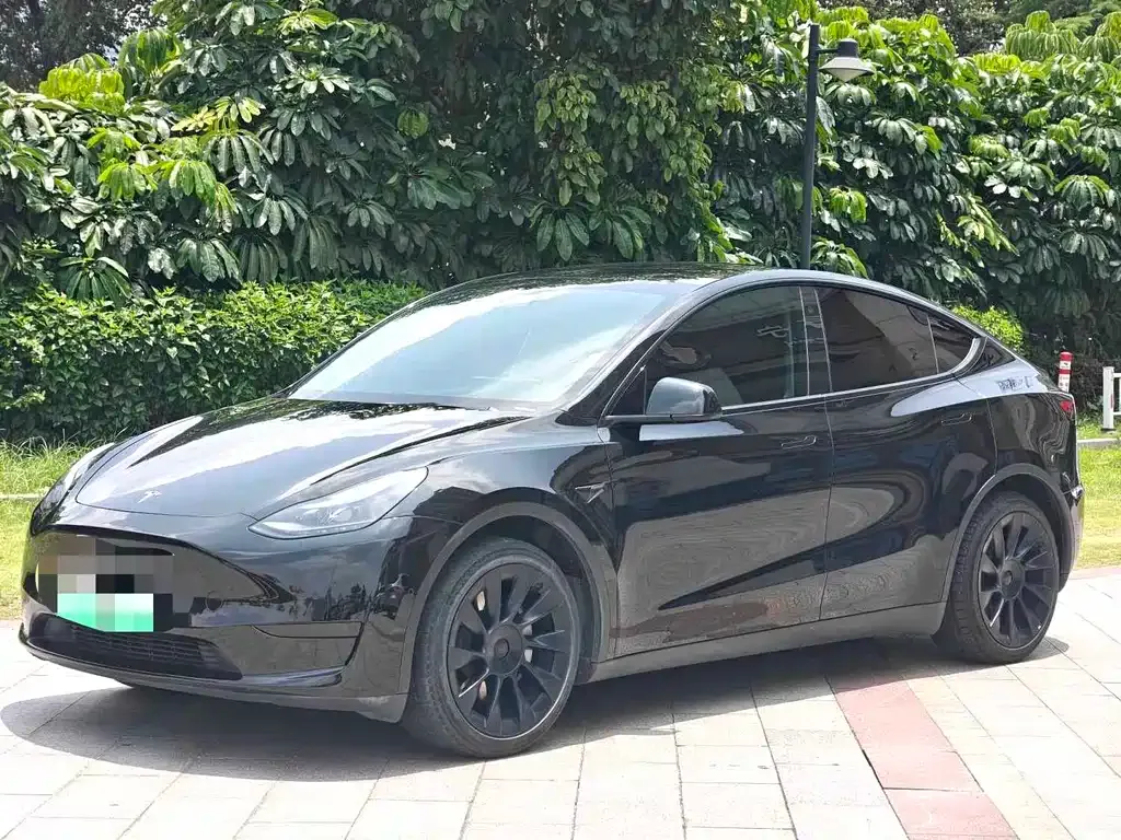 Tesla Model Y — фото 1