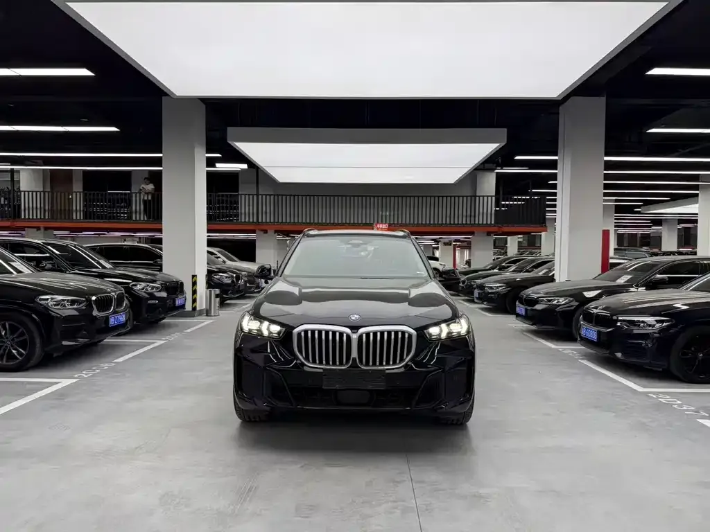 BMW X5 — фото 5