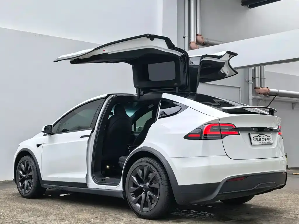 Tesla Model X — фото 5