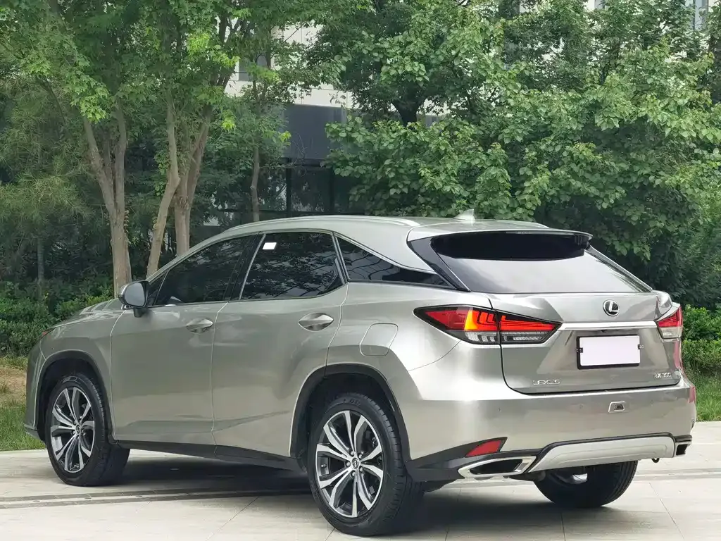 Lexus RX — фото 10