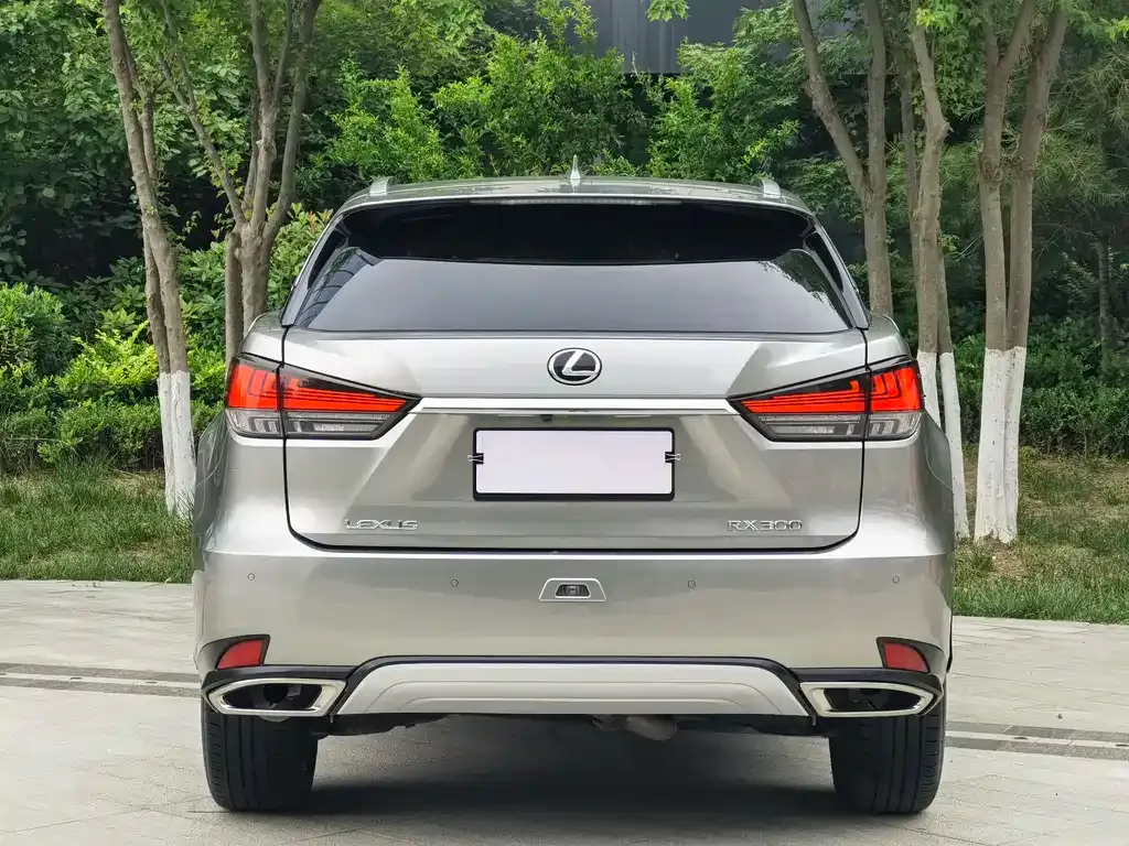 Lexus RX — фото 7