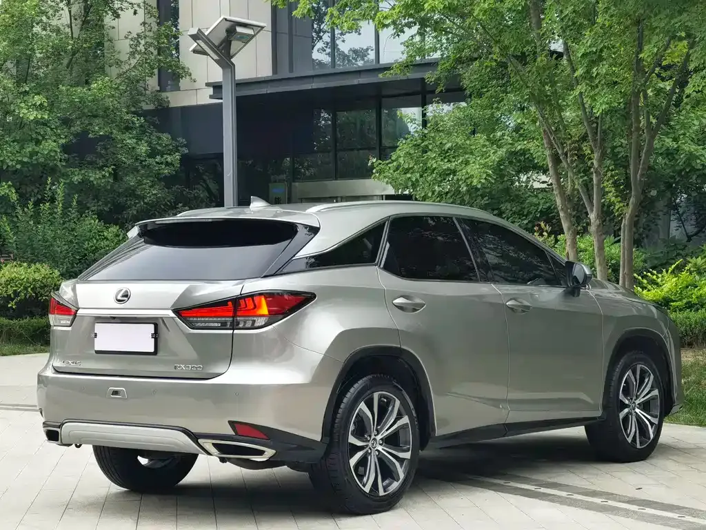 Lexus RX — фото 6