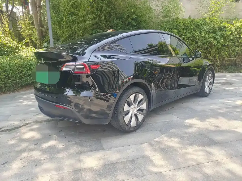 Tesla Model Y — фото 2