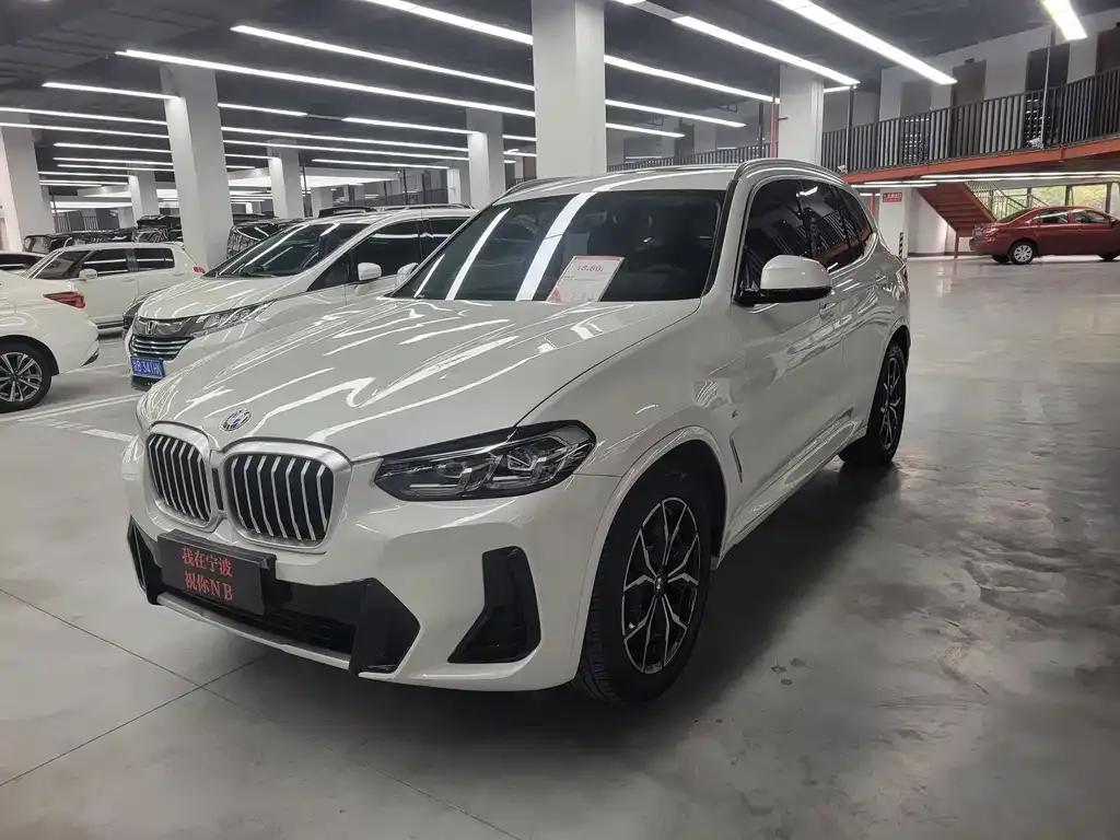 BMW X3 — фото 1