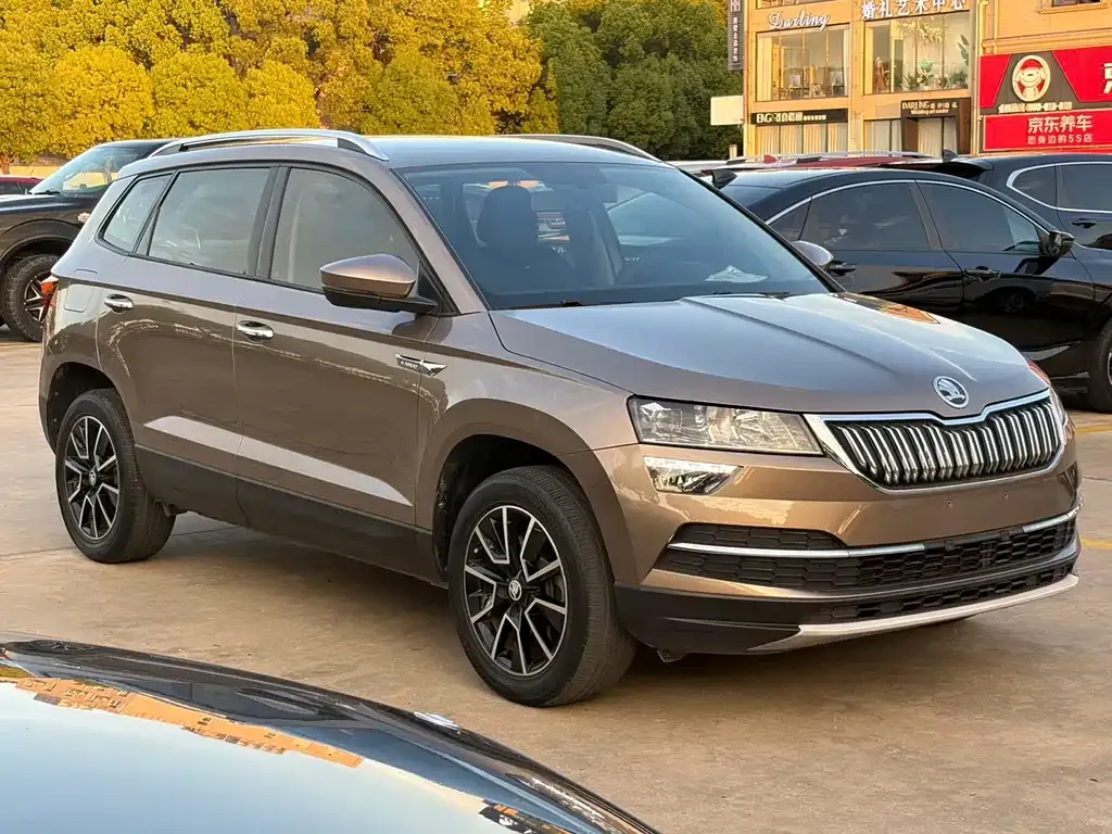 Skoda Karoq — фото 5