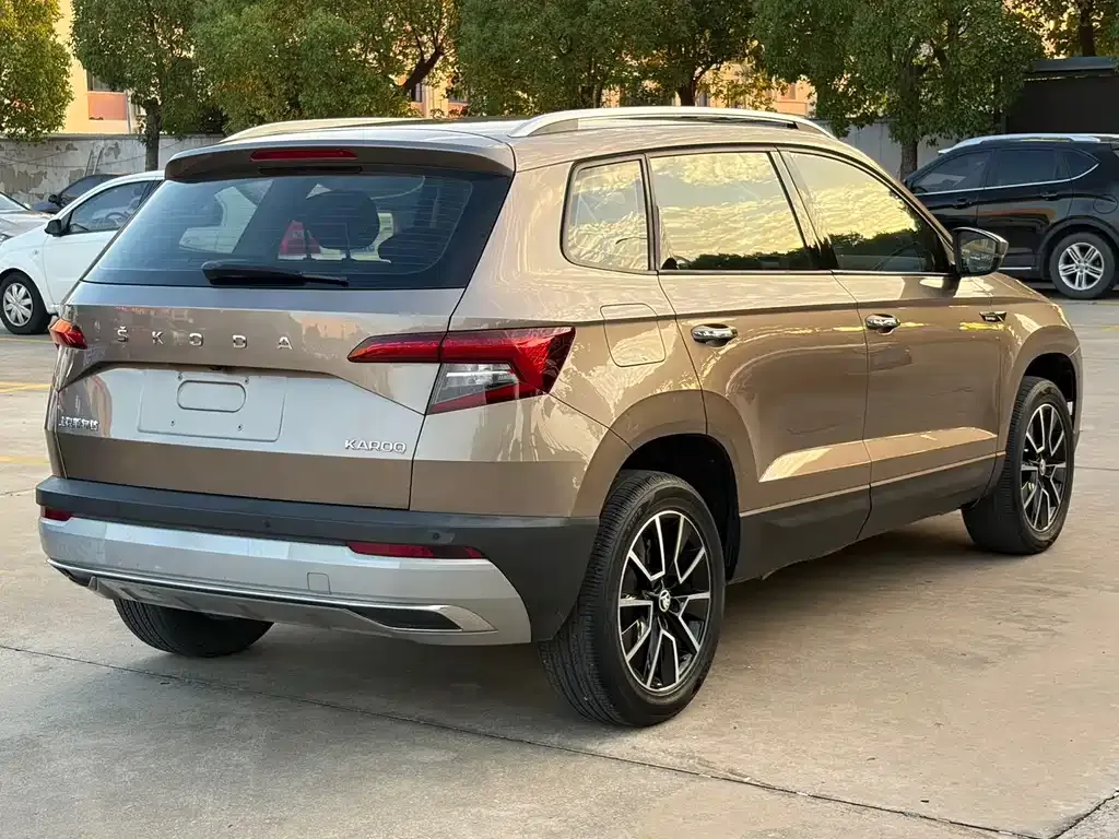 Skoda Karoq — фото 8